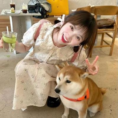 美好的一年